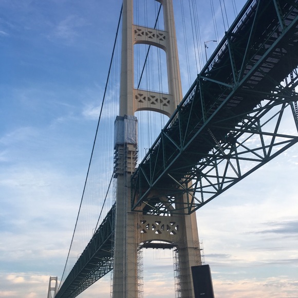 Meet your Posher, Tammy - Picture 3 of 5